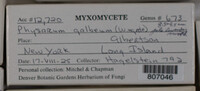 Image Associated With the Occurence